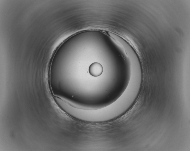 X0000112110952200908251208