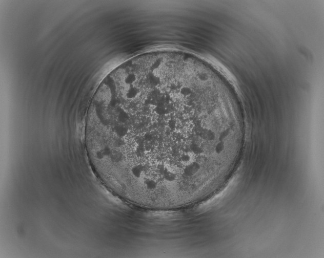 X0000112110953200908251208