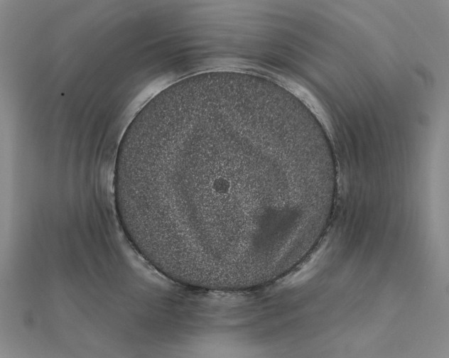 X0000112110954200908251208