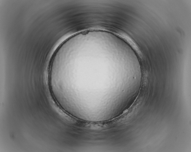 X0000112110955200908251208