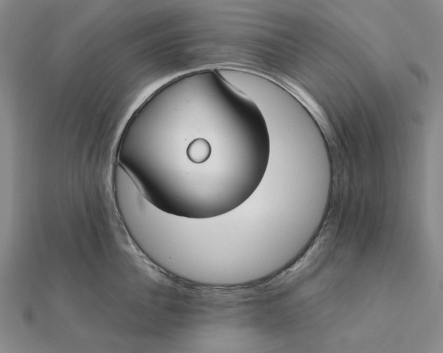 X0000112110956200908251208