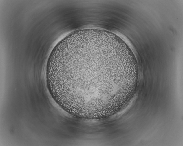 X0000112110957200908251208