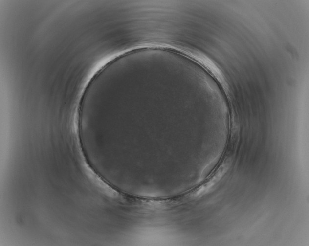 X0000112110958200908251208