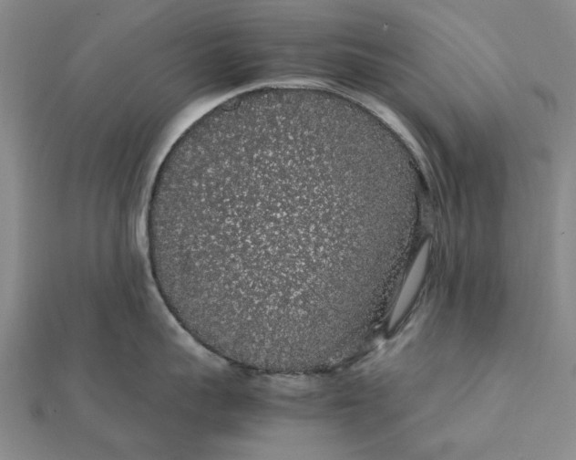 X0000112110959200908251208