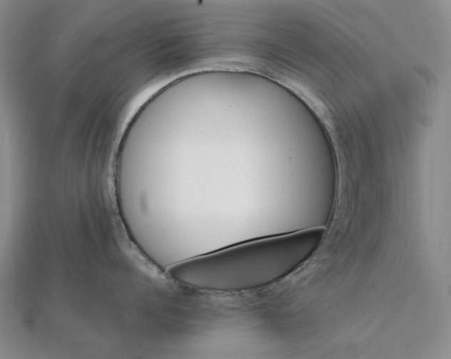 X0000112110960200908251208