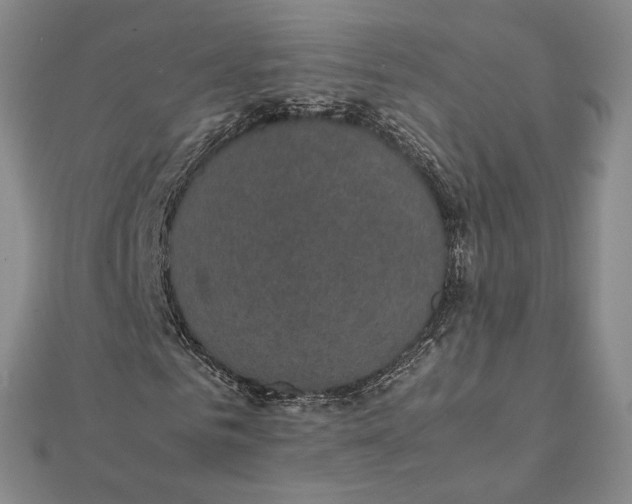 X0000112110961200908251208