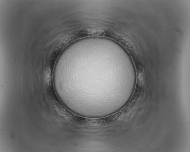 X0000112110963200908251207