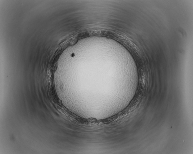 X0000112110964200908251207