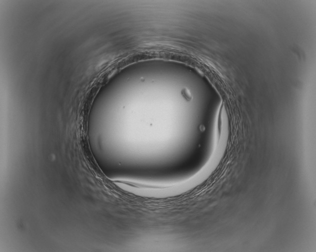 X0000112110965200908251207