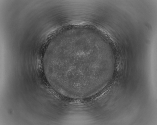 X0000112110966200908251207