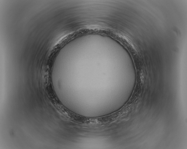 X0000112110968200908251207