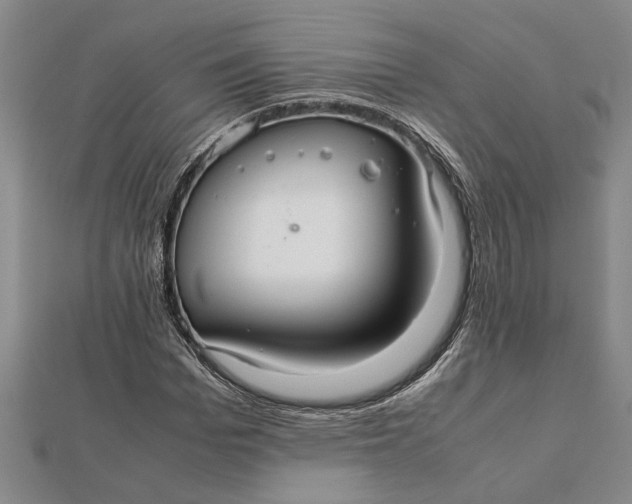 X0000112110969200908251207