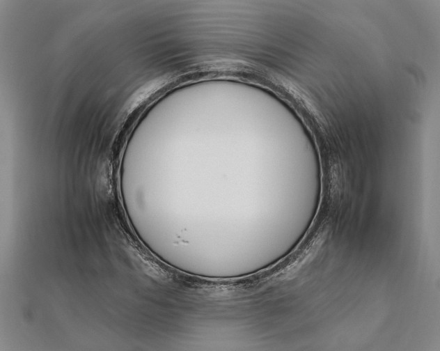 X0000112110970200908251207