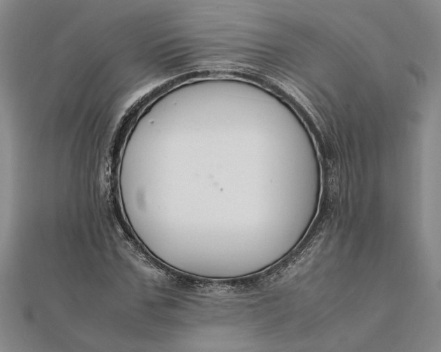 X0000112110971200908251207