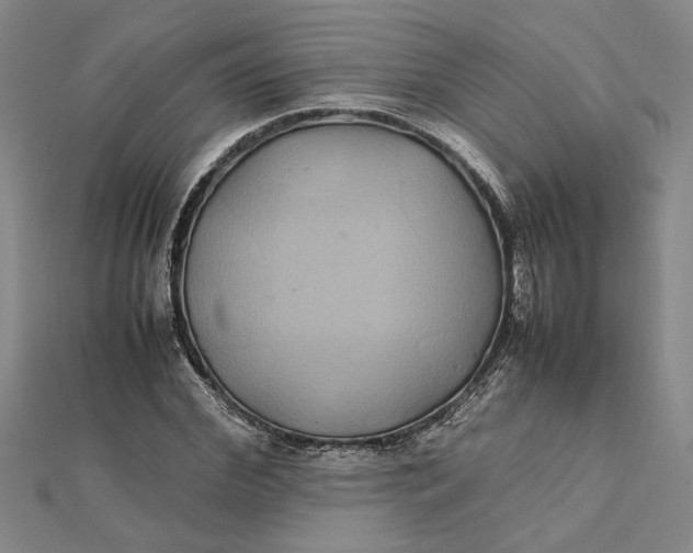 X0000112110972200908251207