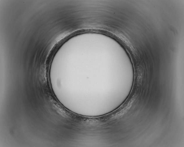 X0000112110974200908251207