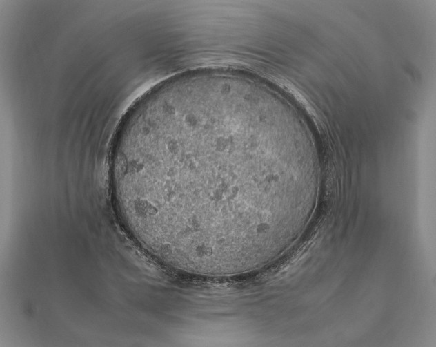 X0000112110975200908251207