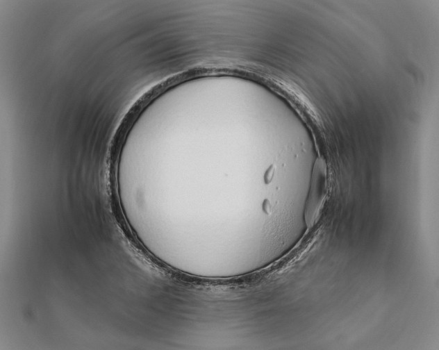 X0000112110976200908251207