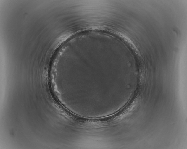 X0000112110977200908251207