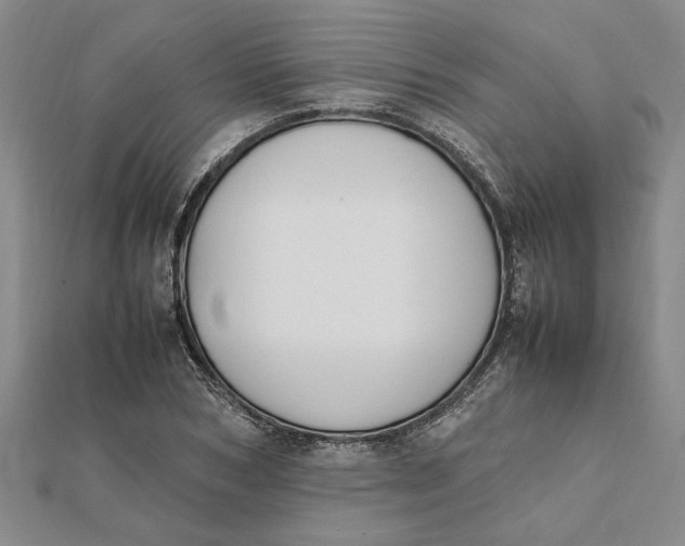 X0000112110978200908251207