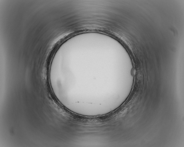 X0000112110979200908251207