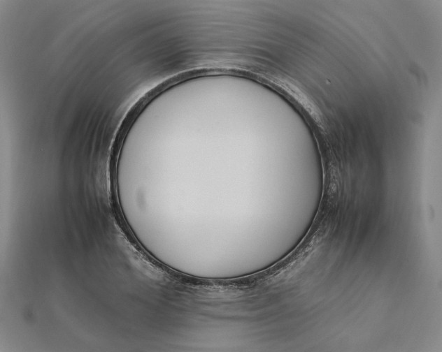 X0000112110980200908251207