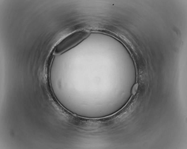 X0000112110981200908251207