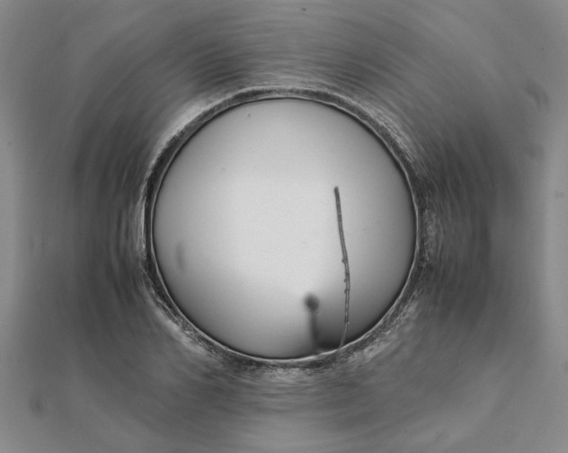 X0000112110982200908251207