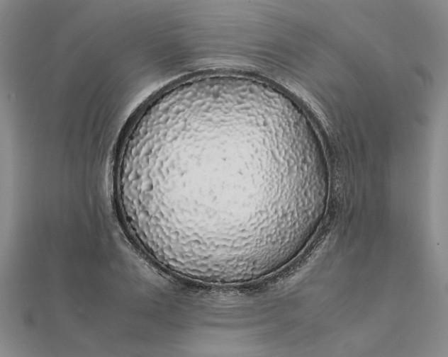 X0000112110983200908251207