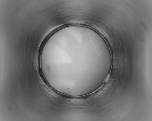 X0000112110984200908251207