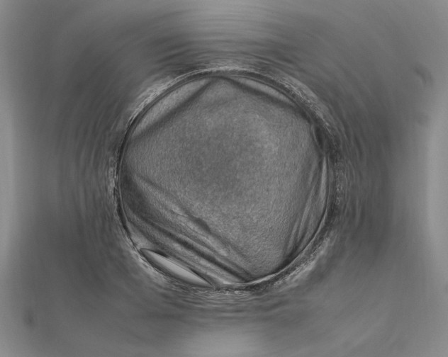 X0000112110985200908251207