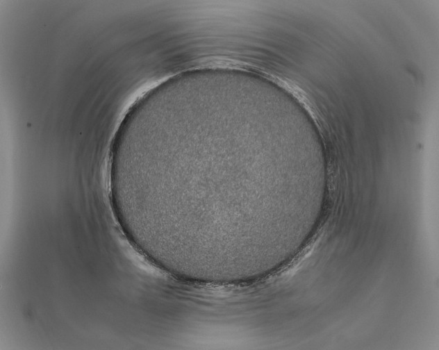 X0000112110987200908251207