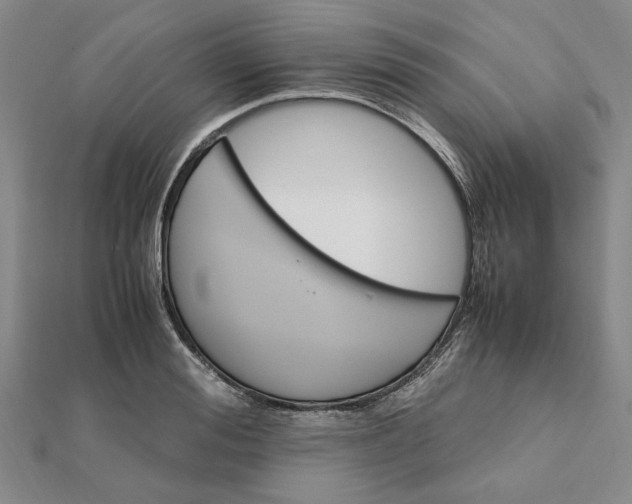 X0000112110988200908251207