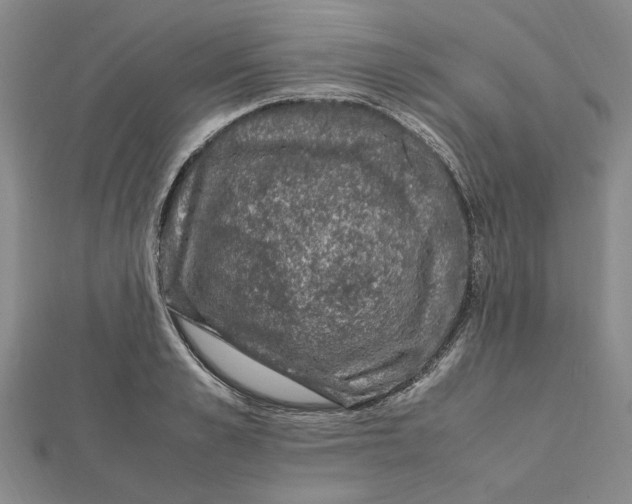 X0000112110989200908251207