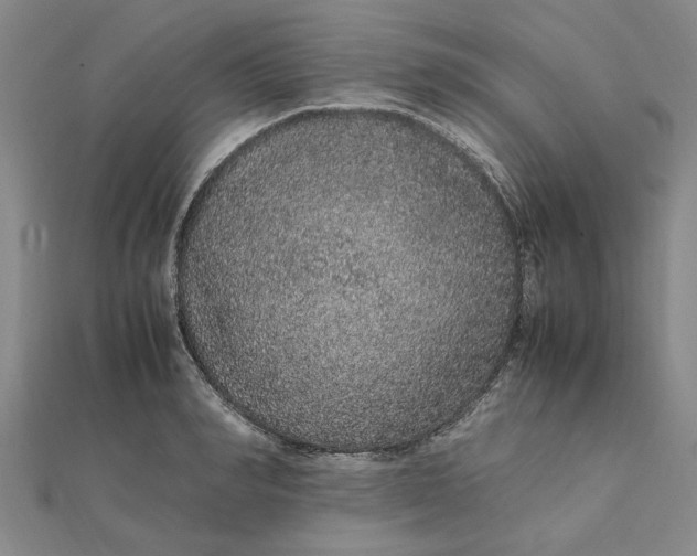 X0000112110990200908251207