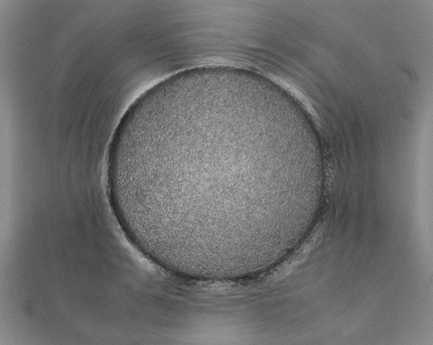 X0000112110991200908251207