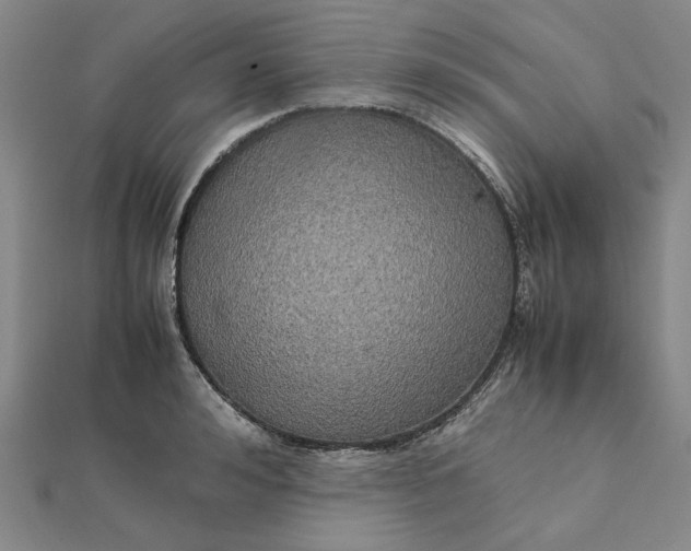 X0000112110992200908251207