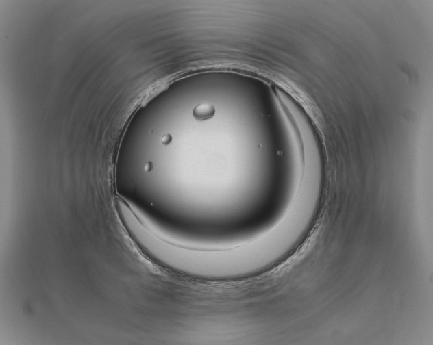 X0000112110993200908251207