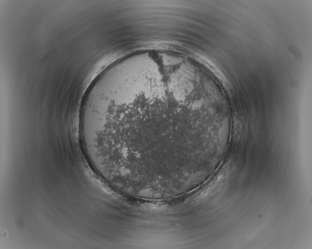 X0000112110994200908251207