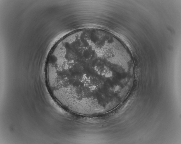 X0000112110995200908251207