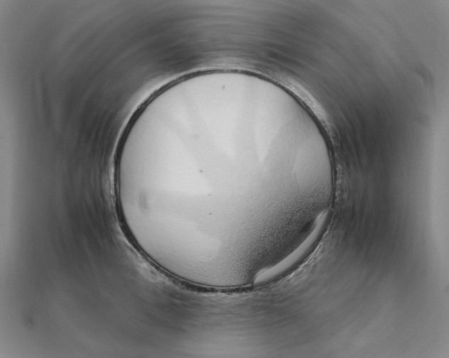 X0000112110996200908251207