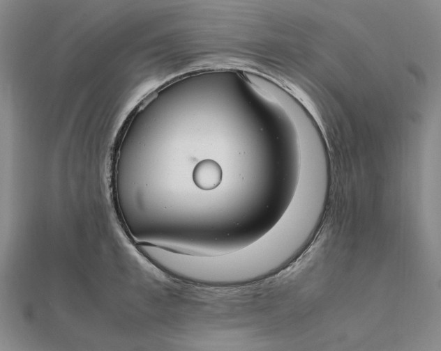 X0000112110997200908251207