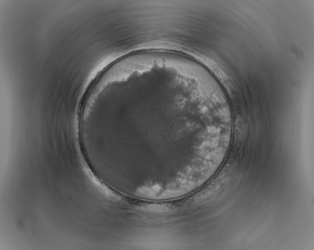 X0000112110998200908251207