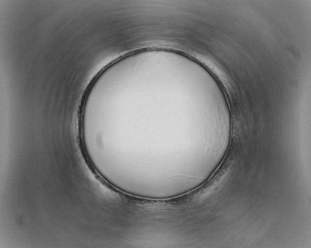 X0000112110999200908251207