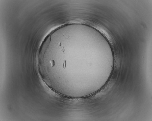 X0000112111000200908251207