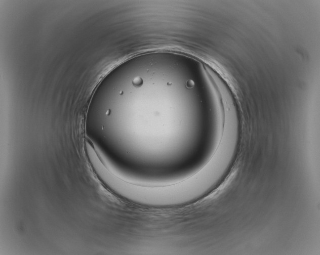 X0000112111001200908251207