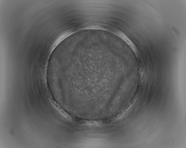 X0000112111002200908251207