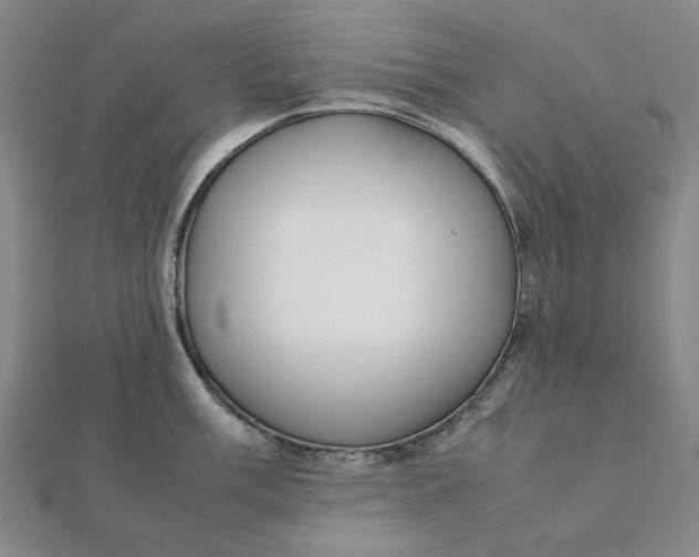 X0000112111003200908251207