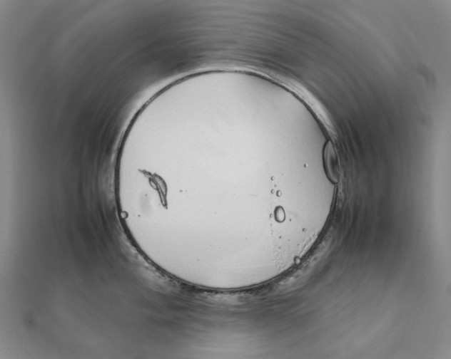 X0000112111004200908251207