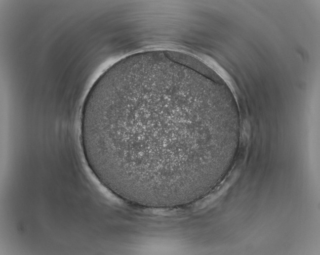 X0000112111005200908251207